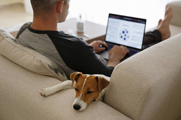 Close up shot of adult man working at home due to coronavirus quarantine concept. Male sitting on couch with his dog and laptop. Jack russell terrier puppy with owner. Background, copy space. - Photo, image