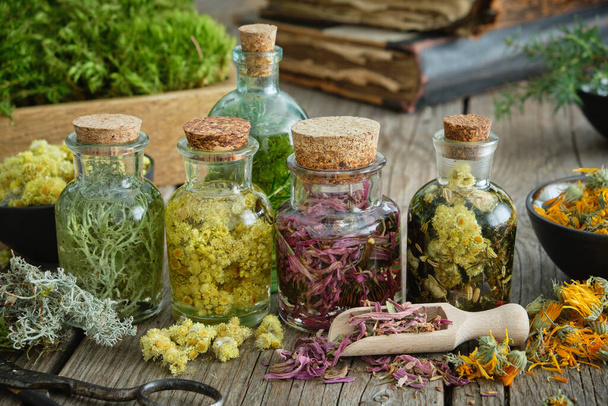 Bottles of infusion of healthy medicinal herbs and healing plants on wooden table. Herbal medicine. Old books and box of healthy moss on background.  - Foto, afbeelding