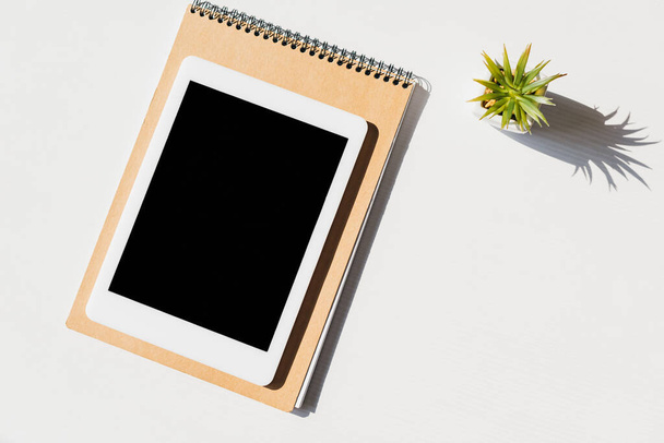 top view of notepad, succulent and digital tablet with blank screen - 写真・画像