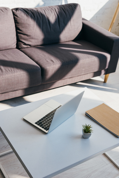 living room with grey sofa and table with laptop, notepad and succulent in sunlight - Foto, Imagem