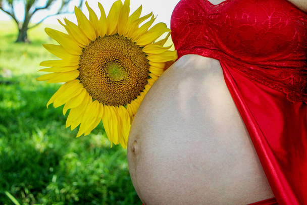 Schöne junge schwangere Frau an einem sonnigen Tag im Freien - Foto, Bild
