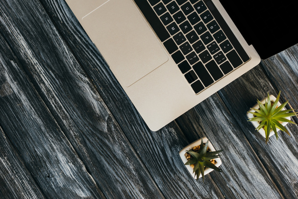 top view laptop és a ház növények sötét fa felületen - Fotó, kép