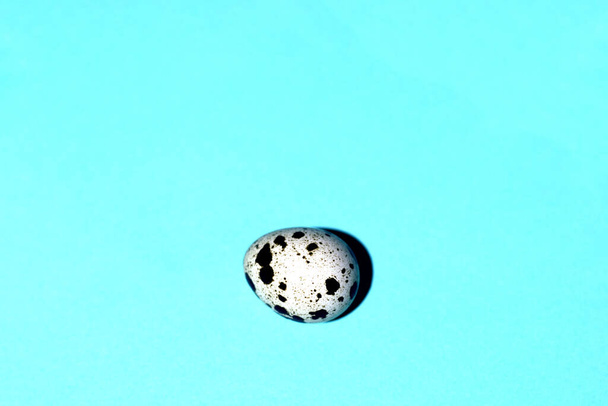 Перепелине яйце в центрі на бірюзовому фоні
 - Фото, зображення