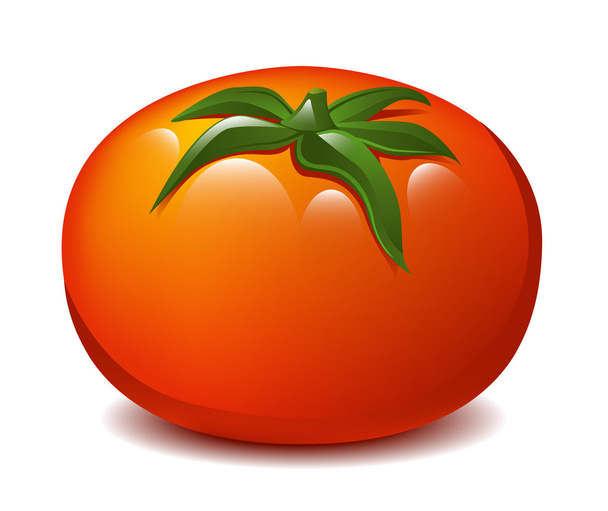 tomaat - Vector, afbeelding