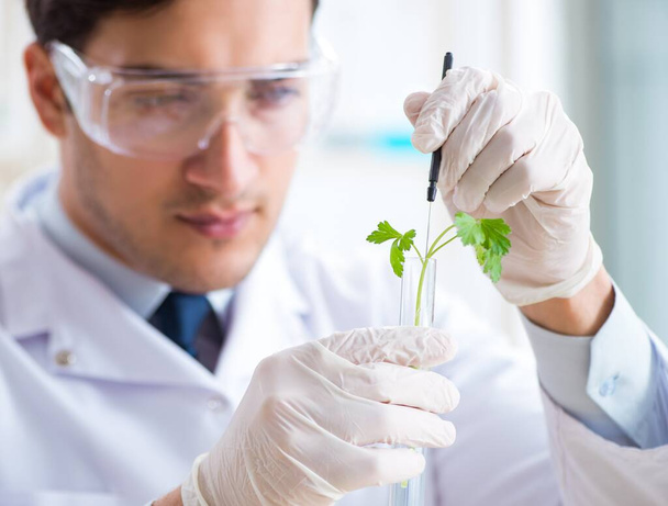 Kasvien parissa työskentelevä miespuolinen biokemisti - Valokuva, kuva