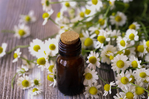 Chamomile flower oil. May daisy. - Foto, Imagen
