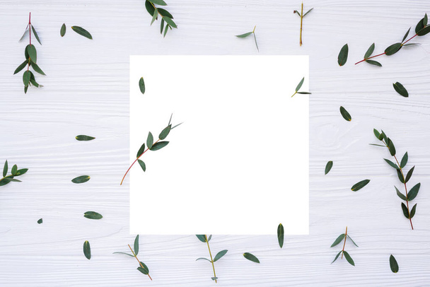 Cornice con foglie verdi e spazio copia su sfondo bianco in legno
 - Foto, immagini