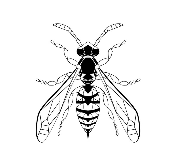Wasp γραμμή σχέδιο κινουμένων σχεδίων για ενήλικο χρώμα antistress σελίδα. Μέλισσα απομονωμένη σε λευκό φόντο. Bumblebee χέρι που doodle, γραφική διανυσματική απεικόνιση. Στυλ Ζέντανγκλ. Περίγραμμα εντόμων Γυαλί ασφαλείας - Διάνυσμα, εικόνα