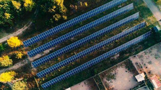 Orman yakınlarındaki güneş panellerinin havadan görünüşü - Video, Çekim