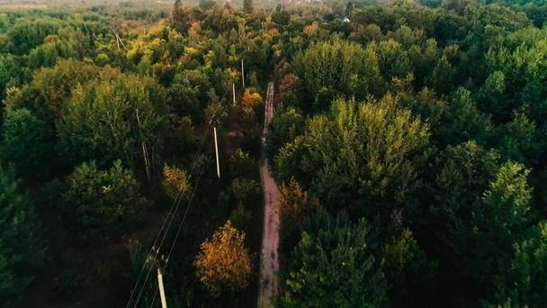 Αεροφωτογραφία του δρόμου σε καταπράσινο δάσος και ορίζοντα - Πλάνα, βίντεο