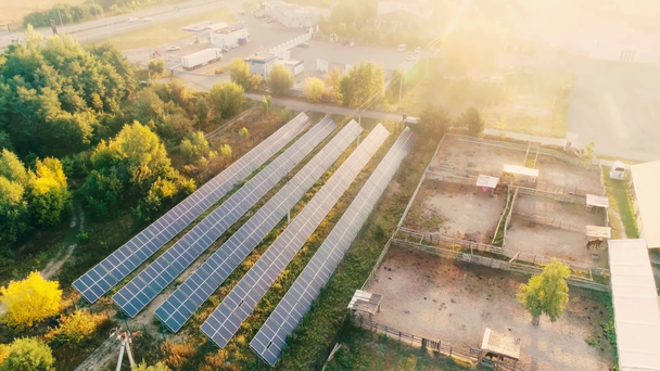 Luftaufnahme von Sonnenkollektoren und Sonnenlicht auf einem Feld in Waldnähe - Filmmaterial, Video