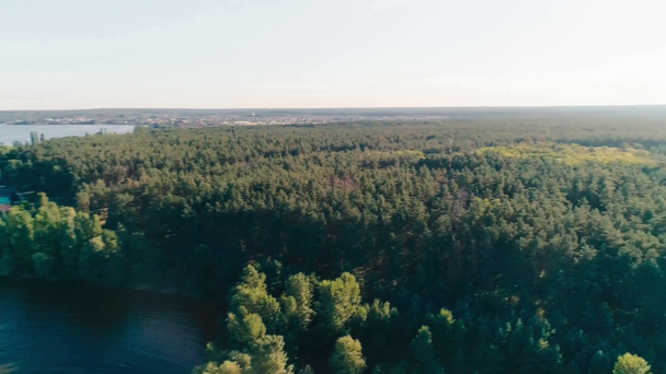 Αεροφωτογραφία του πράσινου δάσους με θάλασσα και ορίζοντα - Πλάνα, βίντεο