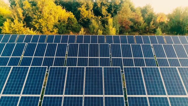 Widok z powietrza niebieskich paneli słonecznych i drzew - Materiał filmowy, wideo