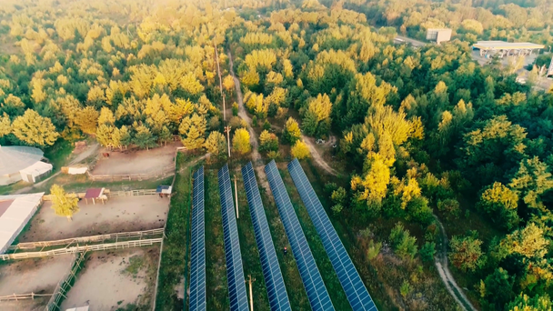 Letecký pohled na pole s modrými solárními panely v blízkosti lesa - Záběry, video