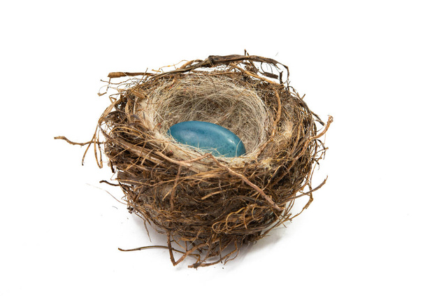 chocolade paaseieren in nest geïsoleerd op witte achtergrond - Foto, afbeelding