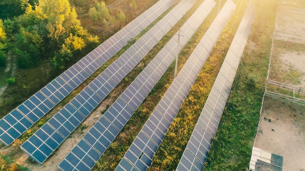 Vista aérea da luz solar no campo com painéis solares azuis perto da floresta
 - Filmagem, Vídeo
