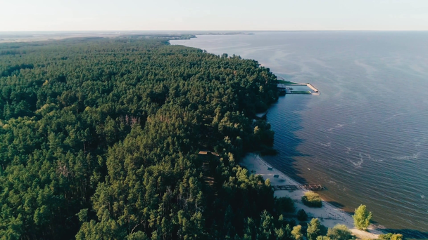 Vista aérea do horizonte e floresta verde perto do mar
 - Filmagem, Vídeo