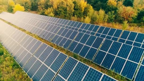 Vista aérea de paneles solares azules y árboles alrededor
 - Imágenes, Vídeo