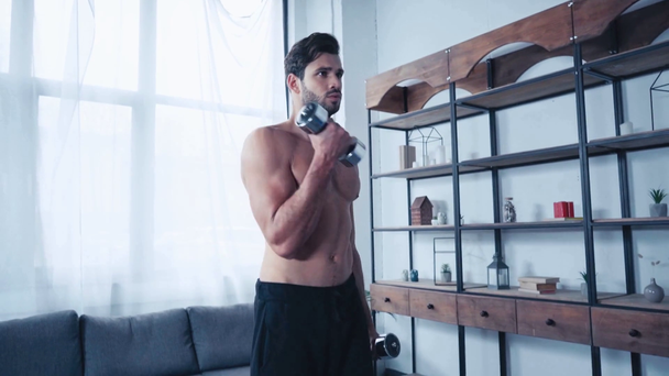 handsome, shirtless sportsman training with dumbbells at home - Footage, Video