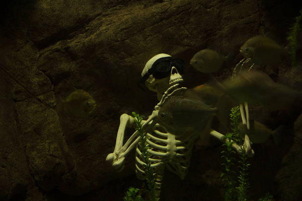 emberi csontváz nyugszik a víz alatt körülvéve piranhák - Fotó, kép