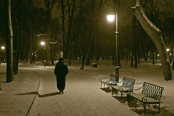 zimní večer - Fotografie, Obrázek