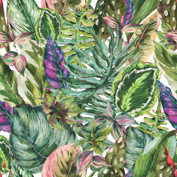 Akvarell botanikus trópusi levelek zökkenőmentes minta, egzotikus természetes virágos textúra fehér alapon. Kézzel festett zöld design tapéta. - Fotó, kép