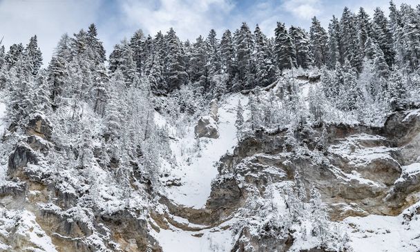 Weiße Szene der Winterschönheit Schnee Wald im Inneren, Bäume an einem Felshang, Panorama der wilden Natur winterlichen Hintergrund, Zweige im Raureif - Foto, Bild