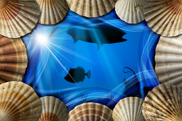 Seashells on Sea Abyss Background - Photo, Image