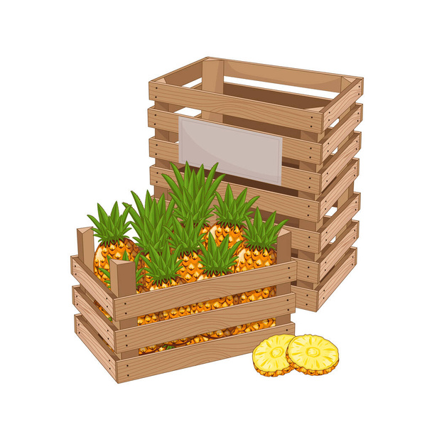 Caixa de madeira cheia de vetor isolado de abacaxi
 - Vetor, Imagem