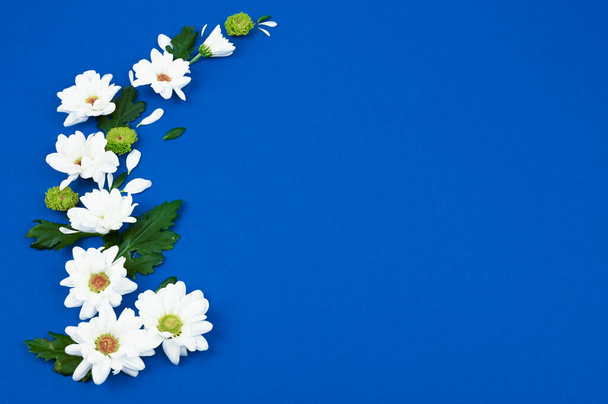 Çiçek deseni. Mavi arka planda beyaz çiçekler. Mesaj için yer var. Üst manzara, düz uzanma - Fotoğraf, Görsel