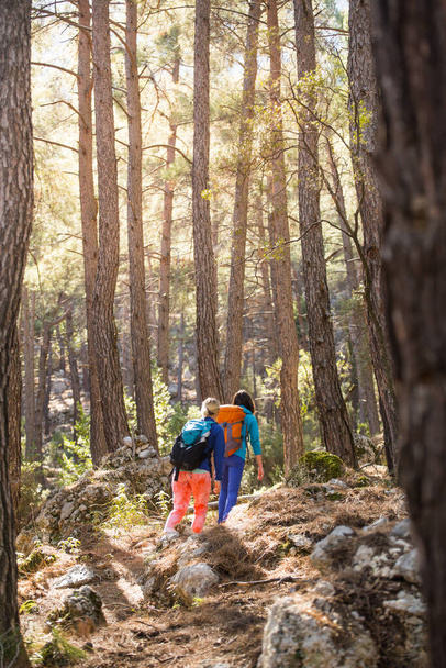 Two girls with backpacks walk in the woods. Hiking in the mountains. Girlfriends spend time together in nature. Women walk in the park. - Photo, image