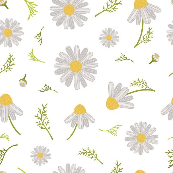 Daisies seamless pattern. Floral texture perfectly for wallpaper, fabric, wrapping paper and other printing.  - Vector, Image