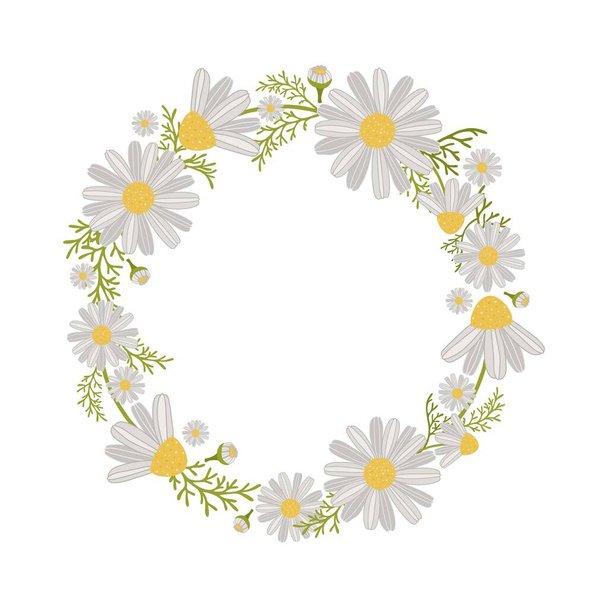 Wreath of Daisies: blossoms, leaves, buds. Floral texture perfectly for invitations, greeting card, fabric, wrapping paper and other printing. - ベクター画像