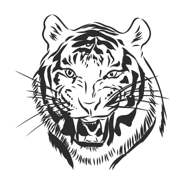 Tigre cabeza grabado vector ilustración, dibujado a mano, boceto
 - Vector, Imagen