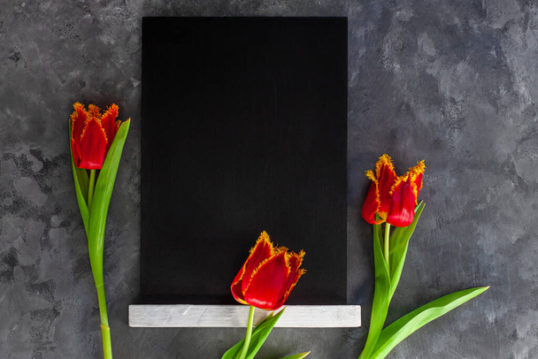 Black chalk board mockup with red tulip flowers on dark grey concrete background. Blackboard menu easel.Copy space text content price, sales adding. Blank template inscription.Education school display - Photo, Image
