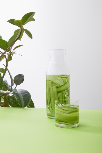 Palack és üveg felszeletelt uborkából készült itallal és növény szürke alapon - Fotó, kép