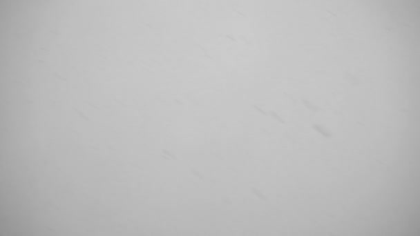 Falling snow in dusk on grey background - Séquence, vidéo
