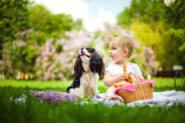 A piknik során baba kezeli a hazai kutya egy kis dinnye - Fotó, kép