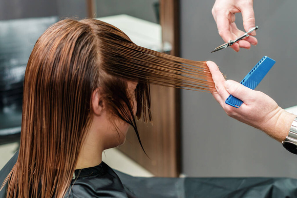 Hands of hairdresser cutting long hair of woman in beauty salon. - Photo, Image