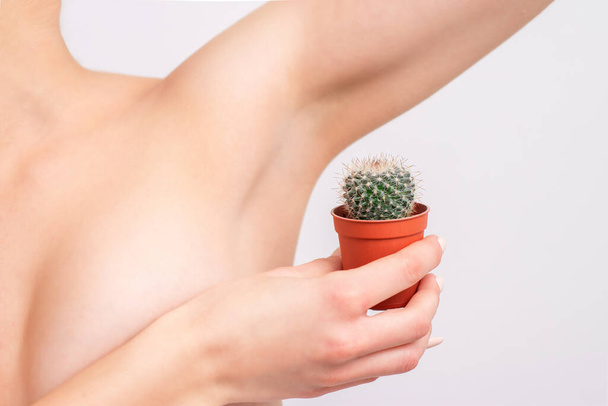Jeune femme tenant un cactus vert près de l'aisselle, concept d'épilation, sucrage, épilation et épilation des cheveux
. - Photo, image