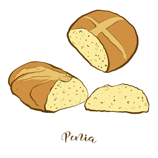 ペニアパンの色絵。イタリアでよく知られている甘いパンの食べ物のベクトル図。色パンのスケッチ. - ベクター画像