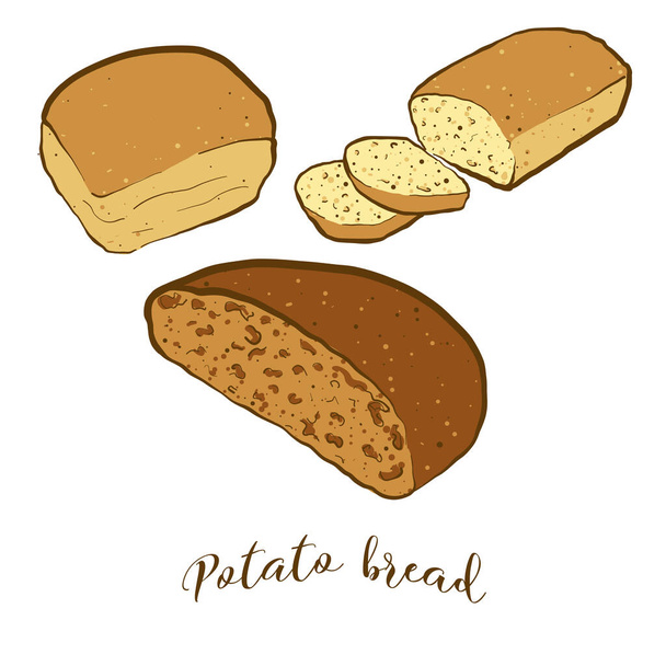 Krumplis kenyér színes rajza. A kovászos vagy kovásztalan ételek kórokozó-átvivő illusztrációja, közismert nevén Amerikában. Színes kenyérvázlatok. - Vektor, kép