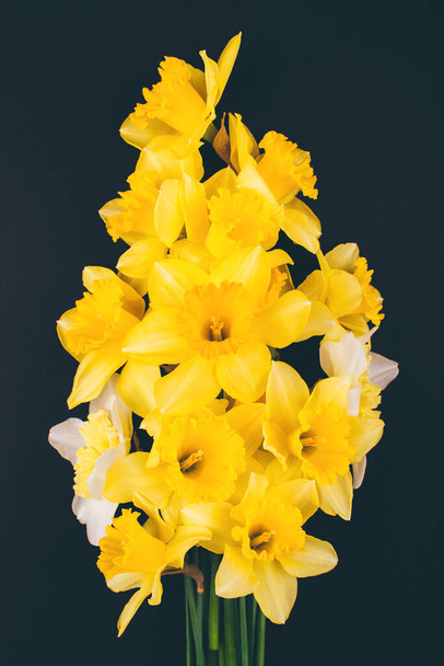 Yellow narcissus flowers on black background. Flowers composition. Flat lay, top view, copy space. Trendy background. - Foto, Bild