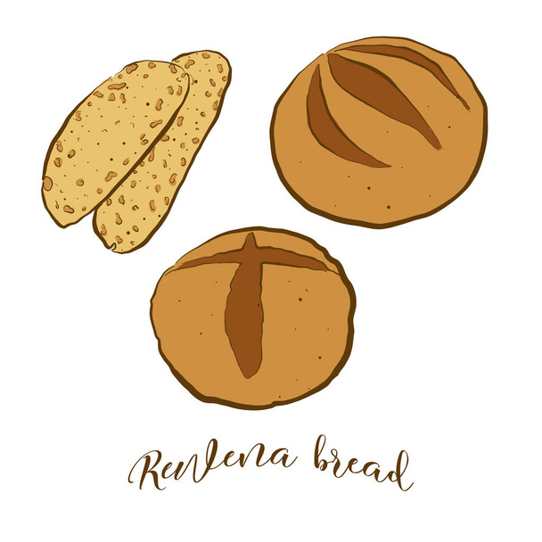 Έγχρωμο σχέδιο ψωμιού Rewena. Εικονογράφηση διανύσματος της τροφής Sourdyme, συνήθως γνωστή στη Νέα Ζηλανδία. Χρωματιστά σχέδια ψωμιού. - Διάνυσμα, εικόνα