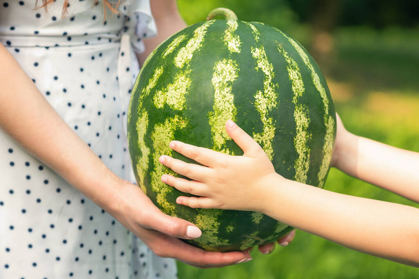 female and baby hands are holding a whole watermelon close up, a little girl's and young woman's hands holds a green watermelon - Photo, Image