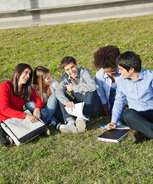 Happy Man With Classmates Sitting At College Campus - Photo, Image