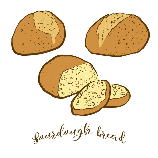 Barevná kresba chlebového chleba Sourdough. Vektorová ilustrace krmiv Sourdough, obvykle známých v Fertile Crescent. Barevné náčrty chlebů. - Vektor, obrázek