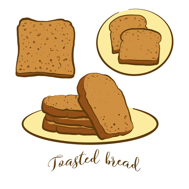 Colored drawing of Toasted bread bread. Vector illustration of Toast food, usually known in Great Britain. Colored Bread sketches. - Vector, Image