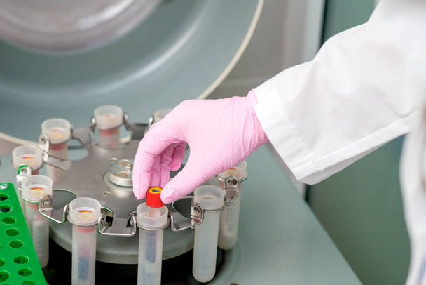 Arzt legt Reagenzglas mit Blut in Zentrifugenmaschine in Klinik, Analyse auf Coronavirus. - Foto, Bild