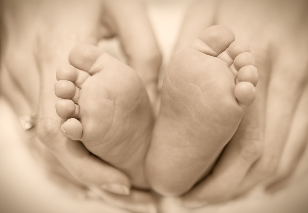 Pieds nouveau-nés sur les mains féminines
 - Photo, image